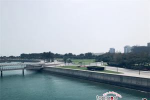 阿聯酋對中國公民免簽新規(guī)發(fā)布：180天內限停90天